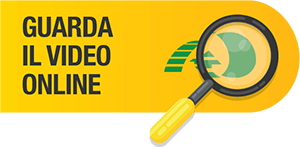 guarda-video-online